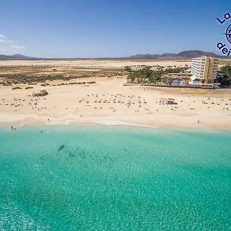 Rosa Dei Venti Sea View - 4 Persons - Wifi Free Apartment *